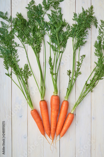 Bunch of fresh carrots with green leaves over white wooden background. Veggies. Organic vegetables. Natural farm products