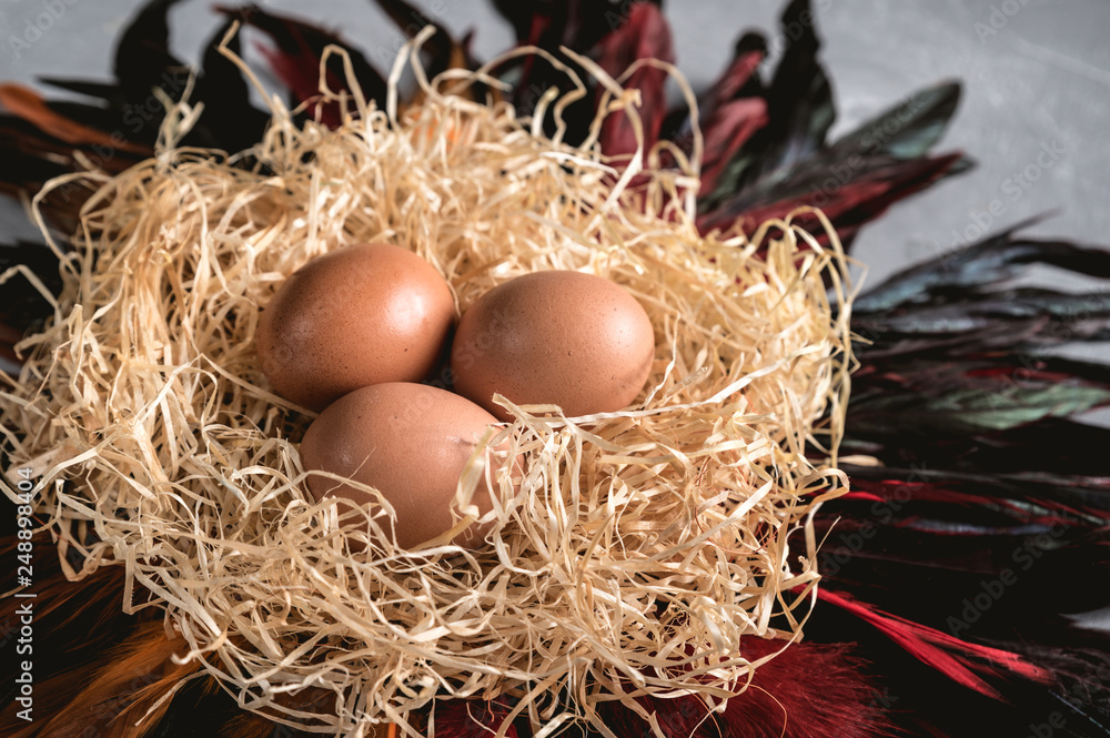 Fresh chicken eggs on decorative nest Fresh chicken eggs on decorative nest