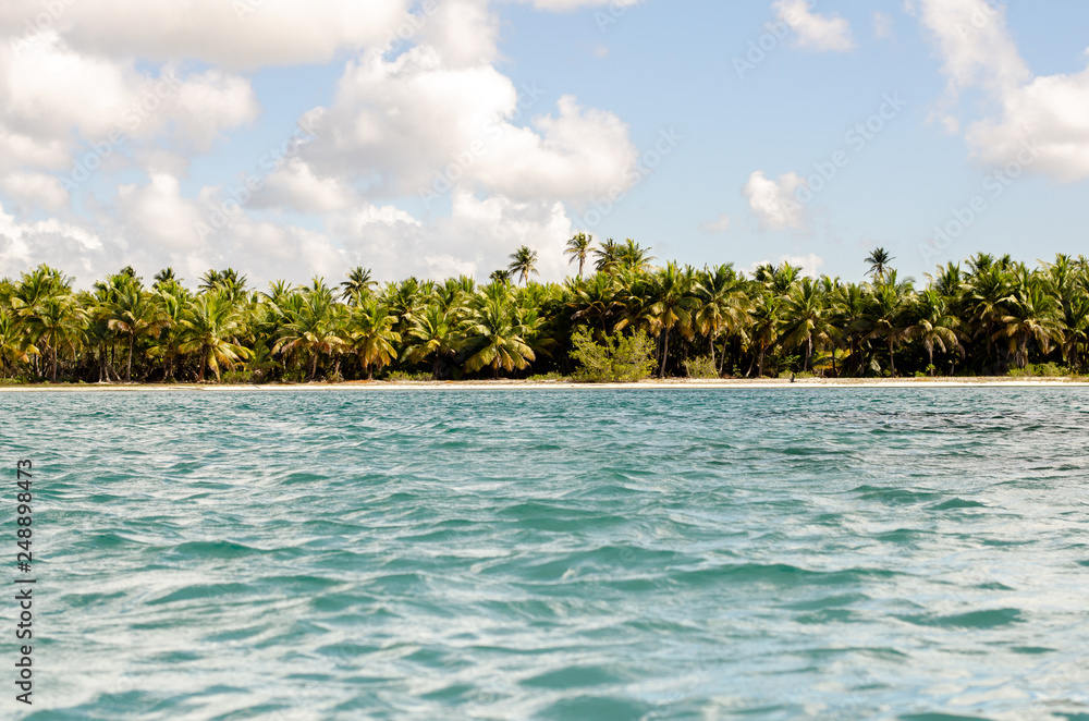 Fototapeta premium beautiful sunny beach at dominican republic