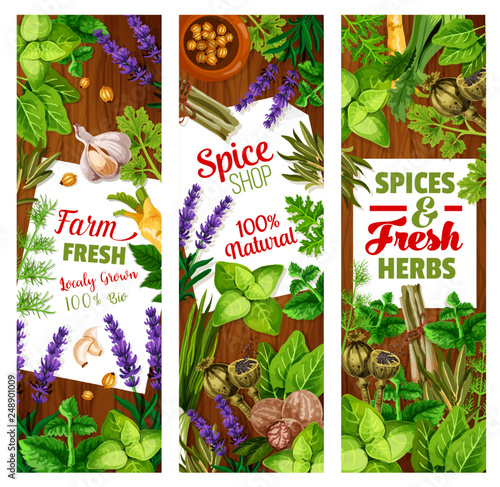 Seasoning and condiments, herbs and spices