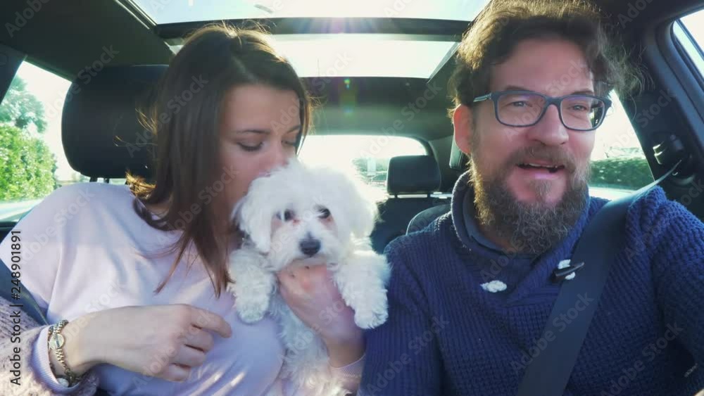 Happy people driving car going in vacation with puppy maltese white dog kissing Happy people driving car going in vacation with puppy maltese white dog kissing