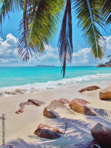 Green coconut palm tree leaning over a white sand beach with turquoise ocean water at the shore and rocks. Paradise islands for summertime holidays, relaxing in sunshine and hot weather, Seychelles   