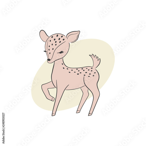 Baby deer vector illustration