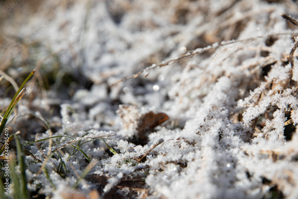 Abstract close up of frost on grass Abstract close up of frost on grass