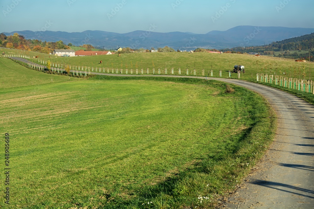 Bicycle path in the field.  East Moravia. Czech Republic. Europe.