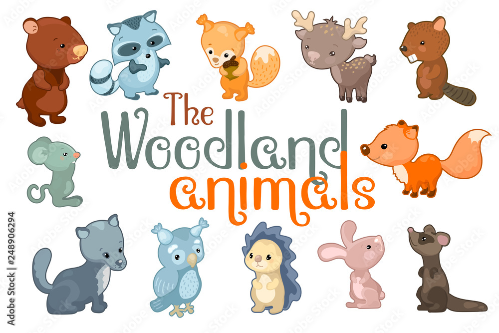 Cute woodland animals. Animal character set of vector illustrations on  white background. vector de Stock | Adobe Stock