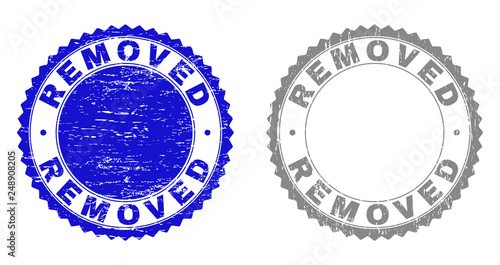 Grunge REMOVED stamp seals isolated on a white background. Rosette seals with grunge texture in blue and gray colors. Vector rubber stamp imprint of REMOVED tag inside round rosette.