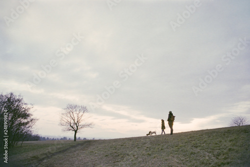 Silhouettes of women and playing dogs up on a hill