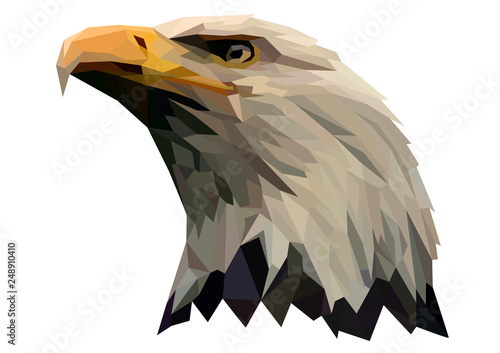 A proud eagle looks down. Bird's head.
