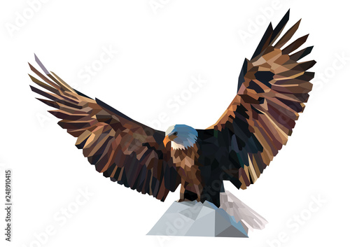 A proud eagle looks down.