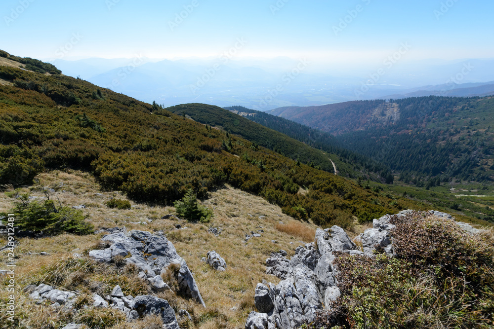 View the meadows in The Vratna valley at the national park Mala Fatra