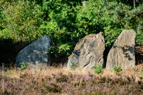Megalithanlage Oldendorfer Totenstatt Großsteingräber in Amelinghausen
