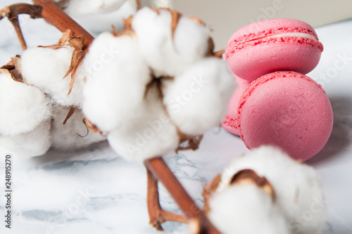 Pink macaroon and white cotton
