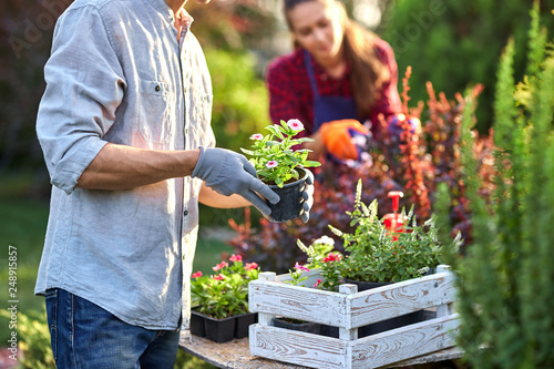 Canvas Print Guy gardener in garden gloves puts the pots with seedlings in the white wooden box on the table and a girl prunes plants in the wonderful nursery-garden on a sunny day