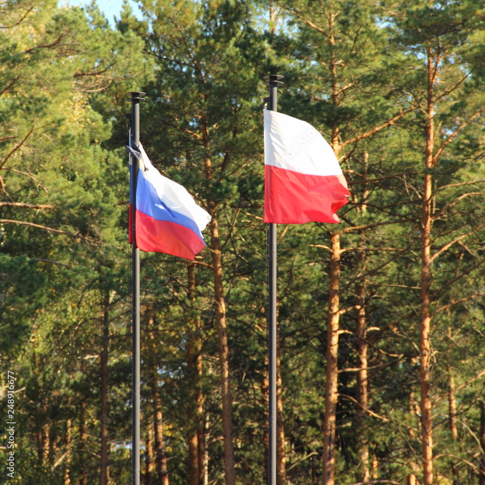 Russian and Poland flags on flagpoles on summer day on green forest background