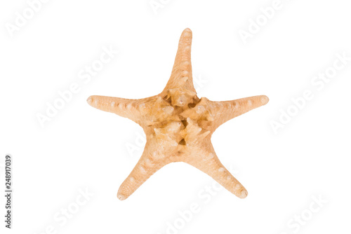 Starfish, isolated, on white background