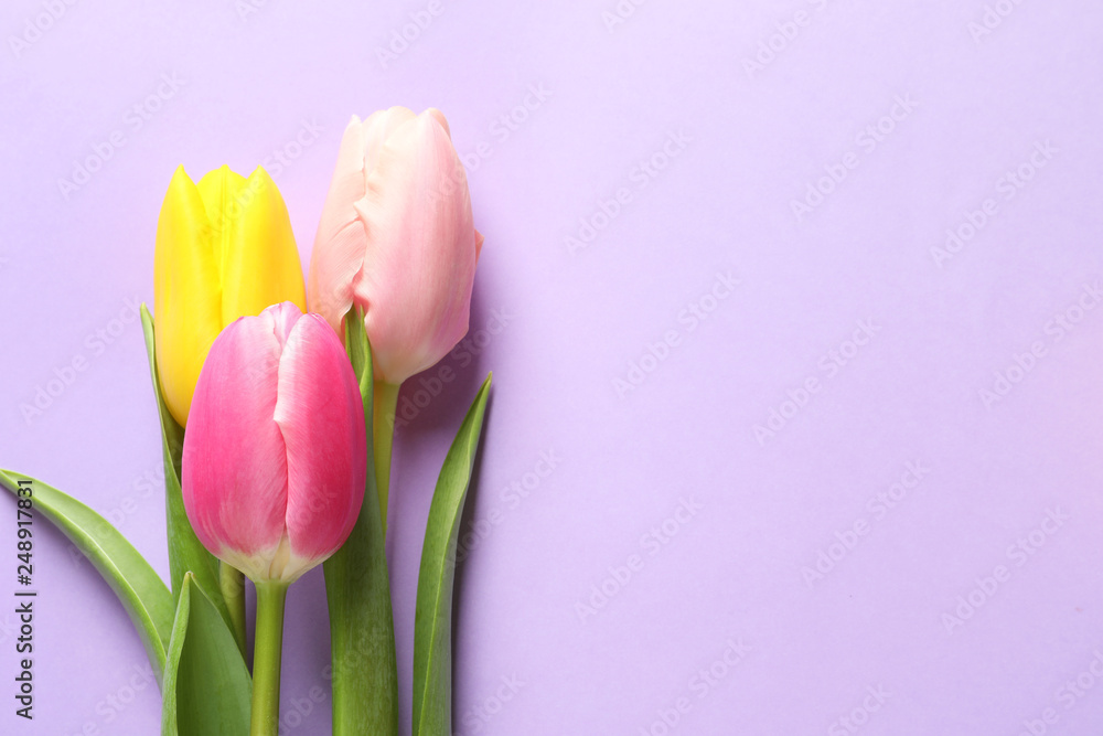 Fototapeta premium Beautiful spring tulips on color background, top view with space for text. International Women's Day