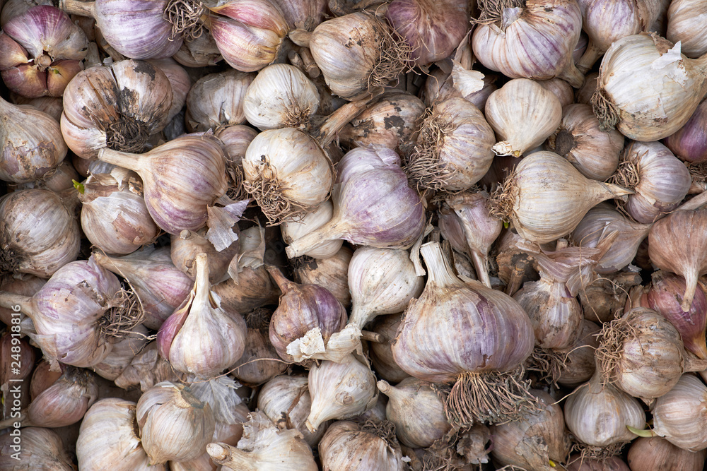 unpeeled fresh garlic fruit, full frame unpeeled fresh garlic fruit, full frame