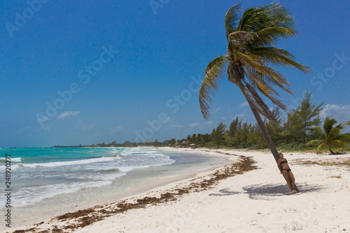 Junge Frau im Bikini lehnt an einer Palme am Karibikstrand in Mexiko