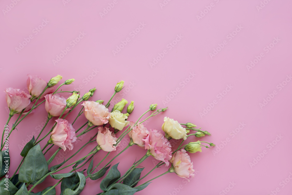 bouquet of pink eustomas on a light pink background