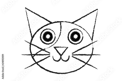 Cara de gato dibujado.