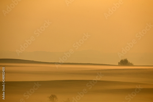 Silhouette of trees in a landscape in the morning sunset. The whole pictures is in a golden orange colour.