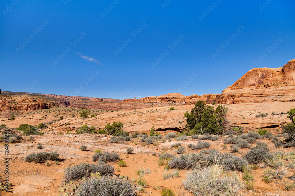 Fototapeta premium Arches National Park Landscape in Utah