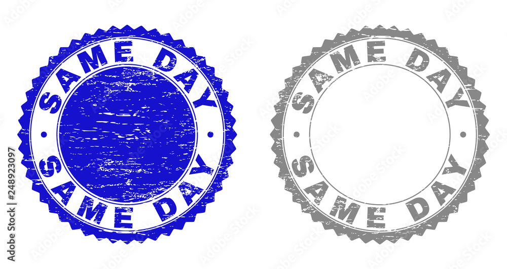 Grunge SAME DAY stamp seals isolated on a white background. Rosette seals with distress texture in blue and grey colors. Vector rubber stamp imitation of SAME DAY caption inside round rosette. Grunge SAME DAY stamp seals isolated on a white background. Rosette seals with distress texture in blue and grey colors. Vector rubber stamp imitation of SAME DAY caption inside round rosette.