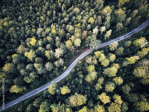 aerial veiw of empty road in green autumn dark forest. drone shot from straight above © visualitte