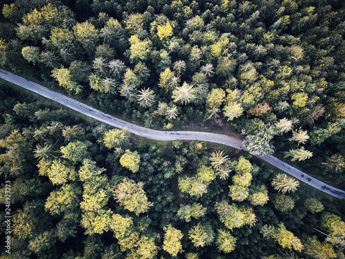 aerial veiw of empty road in green autumn dark forest. drone shot from straight above