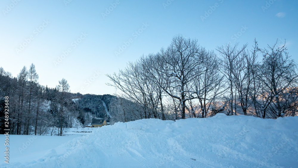 Winter Snow Landscape