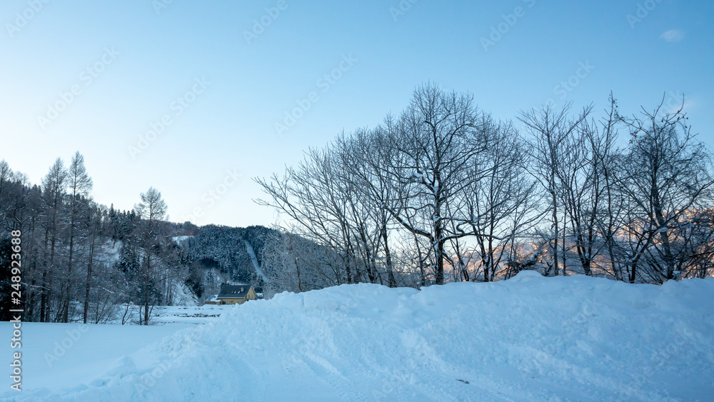 Winter Snow Landscape Winter Snow Landscape