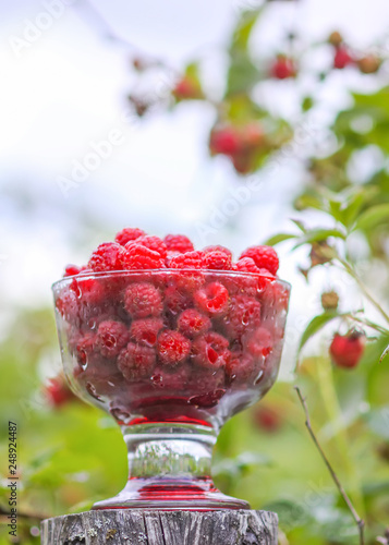 Obraz na płótnie Ripe sweet summer berries