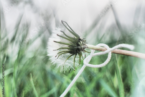 grass knot
