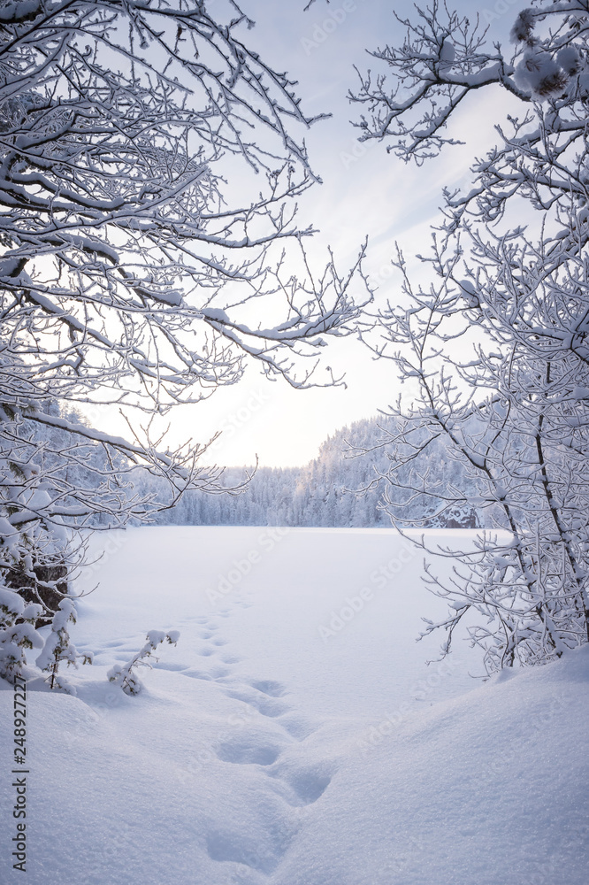 Foot prints in the snow on an icy and snowy lake Foot prints in the snow on an icy and snowy lake