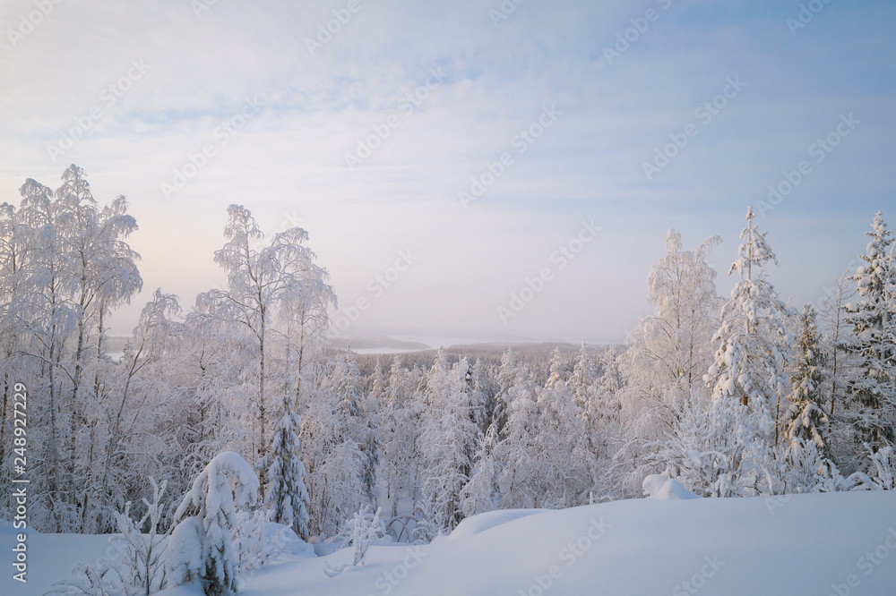 a view from the top of a hill in a snowy forest