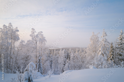 a view from the top of a hill in a snowy forest © LifeInViewfinder