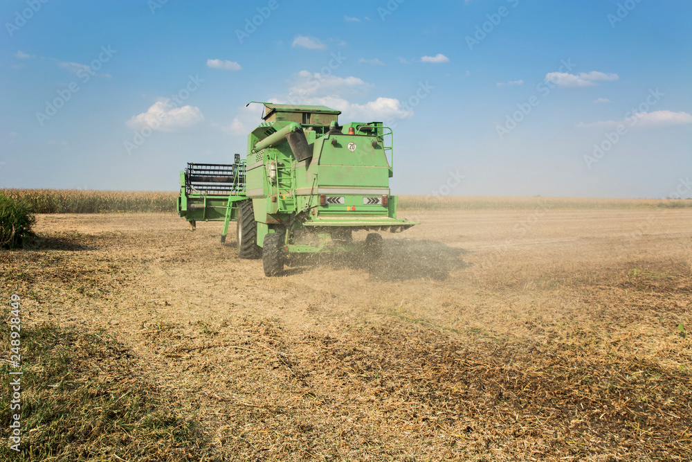 Obraz premium Harvester in the field