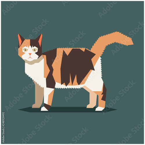 American Wirethair Cat Breed on white background