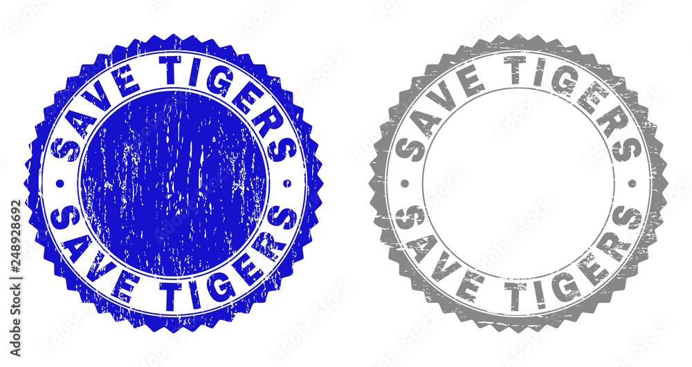 Grunge SAVE TIGERS stamp seals isolated on a white background. Rosette seals with grunge texture in blue and grey colors. Vector rubber stamp imitation of SAVE TIGERS tag inside round rosette. Grunge SAVE TIGERS stamp seals isolated on a white background. Rosette seals with grunge texture in blue and grey colors. Vector rubber stamp imitation of SAVE TIGERS tag inside round rosette.