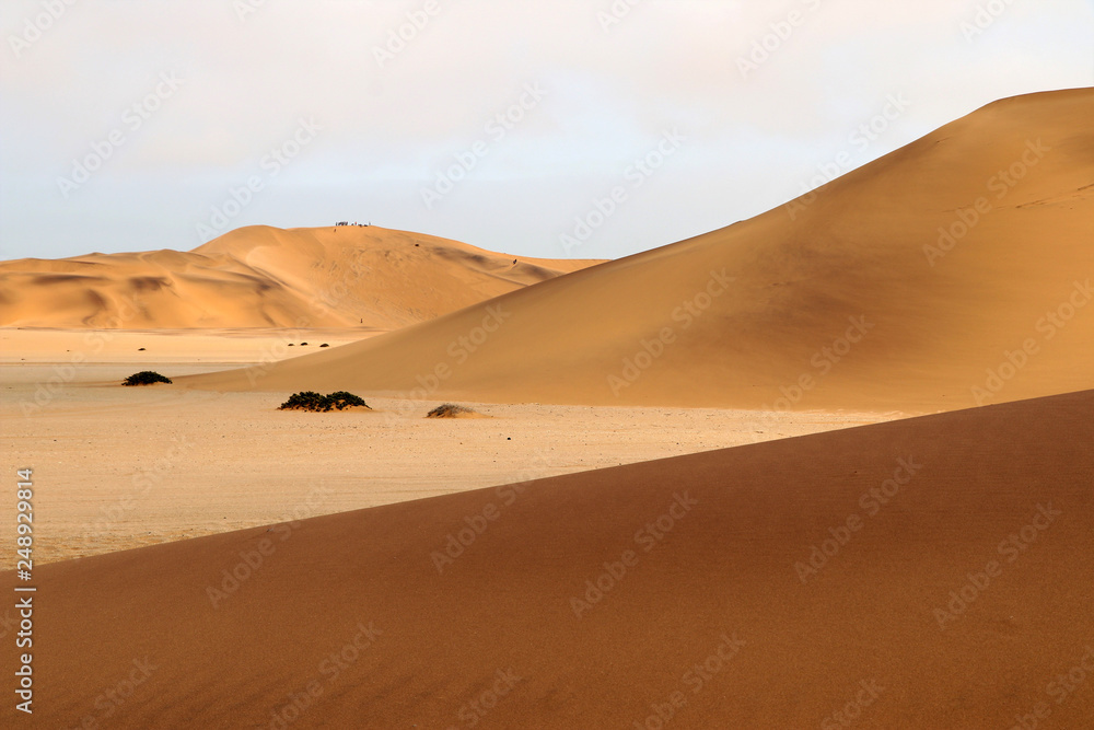  sand dune (swakopmund) - Namibia Africa