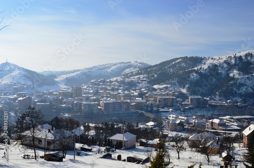 winter panorama of the city