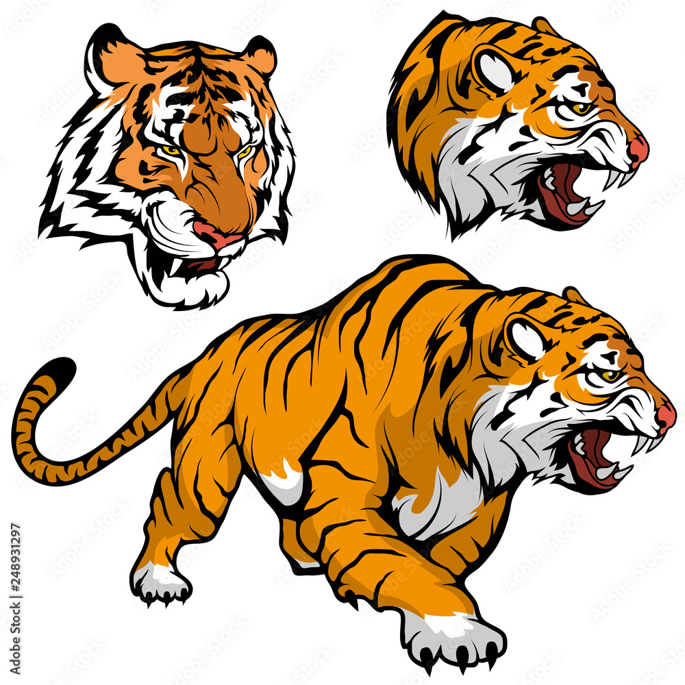 Simple Drawing Royal Bengal Face Stock Illustration 1613700112 |  Shutterstock