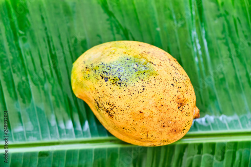 Ripe mango fruit on a green leaf. Close-up. photo