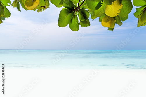 Fototapeta Naklejka Na Ścianę i Meble -  White sandy beach on Maldives island