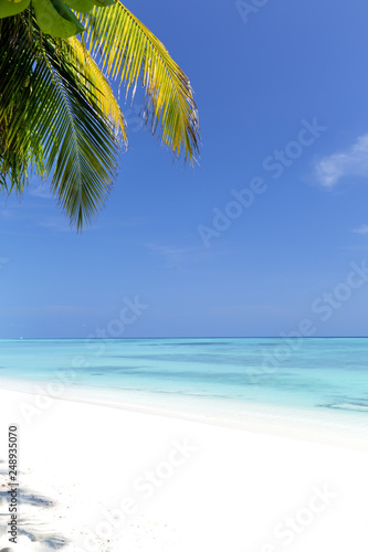 White sandy beach on Maldives island
