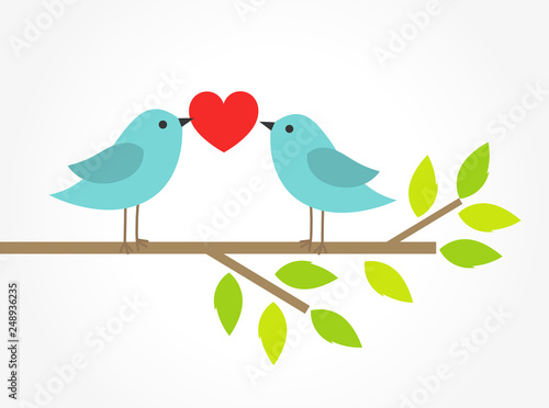 Couple of blue birds on tree branch with heart.