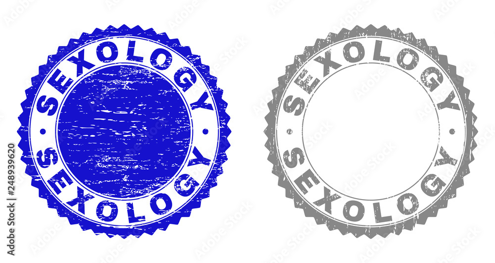 Obraz premium Grunge SEXOLOGY stamp seals isolated on a white background. Rosette seals with grunge texture in blue and gray colors. Vector rubber stamp imitation of SEXOLOGY text inside round rosette.