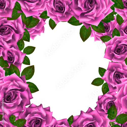 Vector background frame with pink roses and place for text