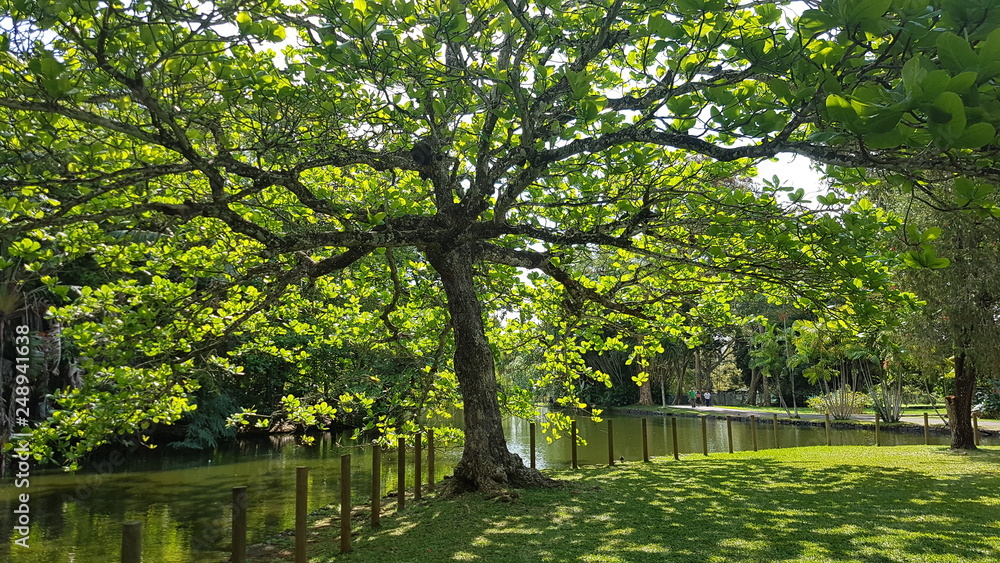 Obraz premium Botanischer Garten